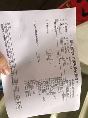 孕酮太低 醫生開了孕酮藥 怎么辦